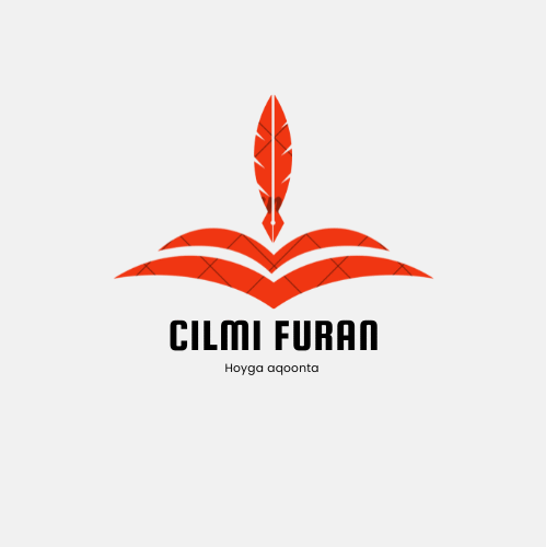 cilmifuran.com
